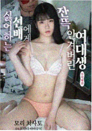 伦理剧集